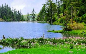 Kayabaşı Plateau Tour